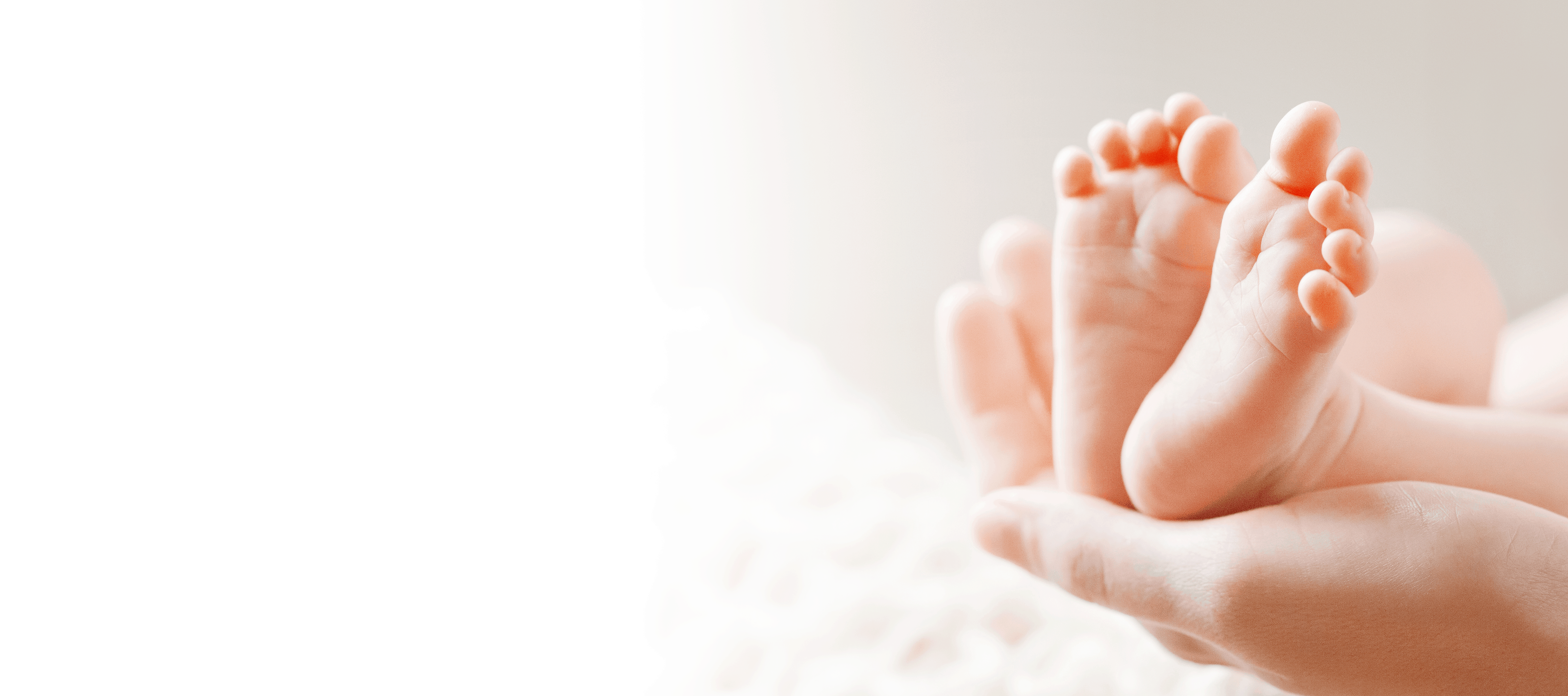 Small baby's feet held in parent's hands on white background