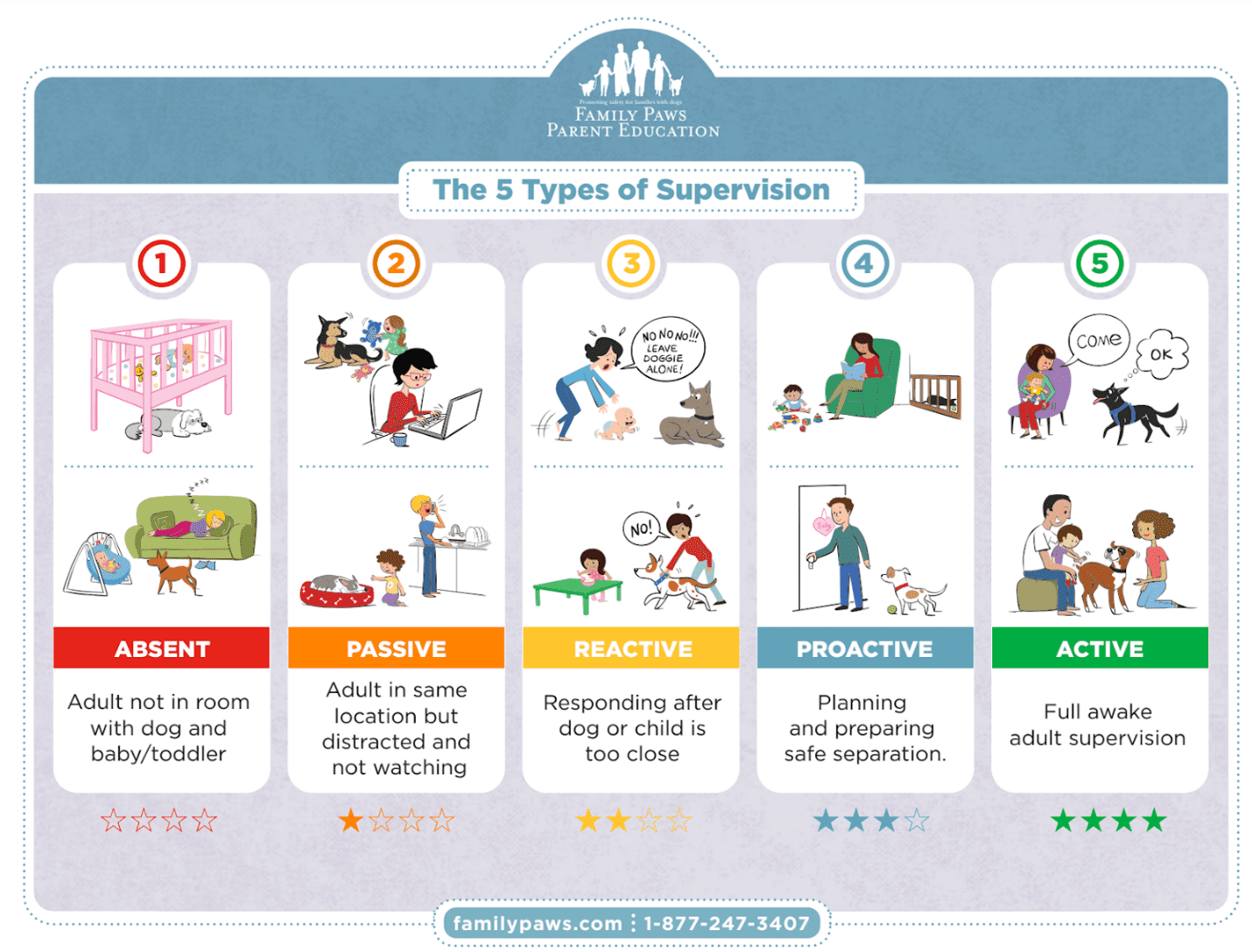 Diagram of 5 Types of Supervision for Pets and Babies.